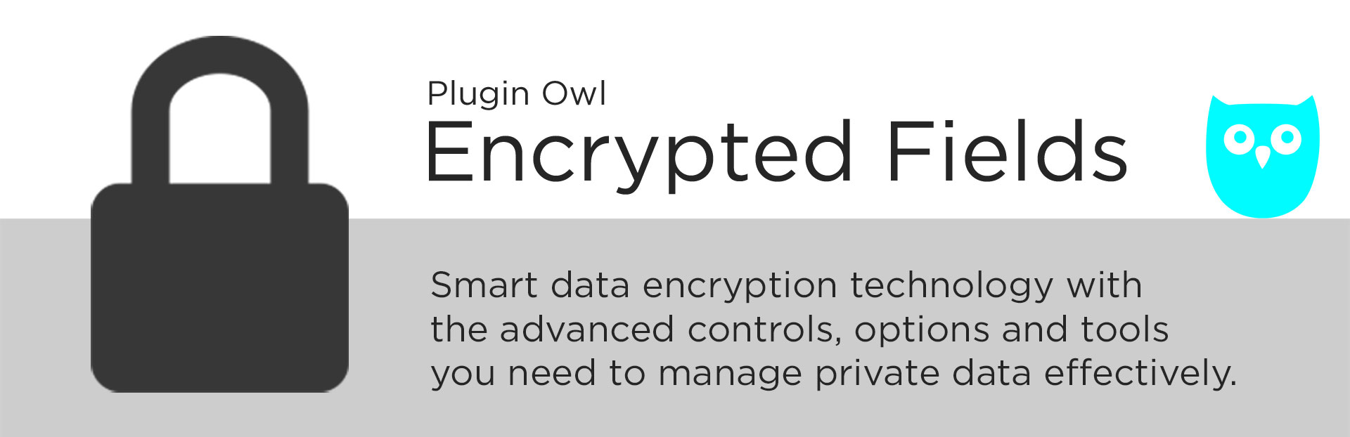 Encrypted Fields for Gravity Forms